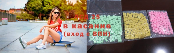 прущие грибы Кукмор