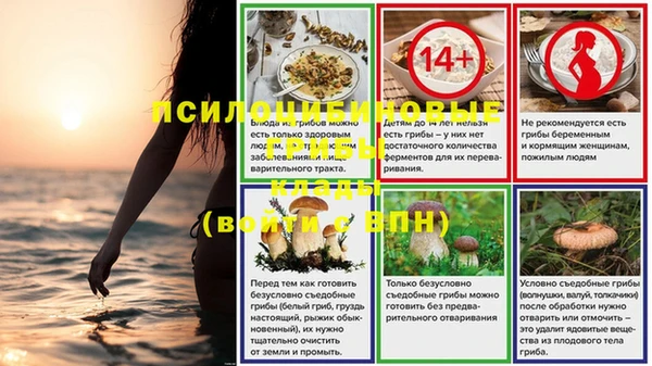 прущие грибы Кукмор