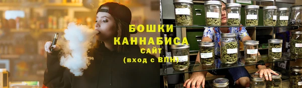 прущие грибы Кукмор