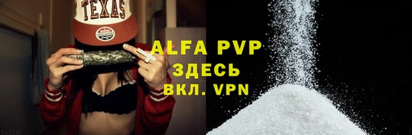 прущие грибы Кукмор