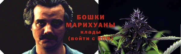 прущие грибы Кукмор